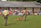 Bild: Polizeibesuch